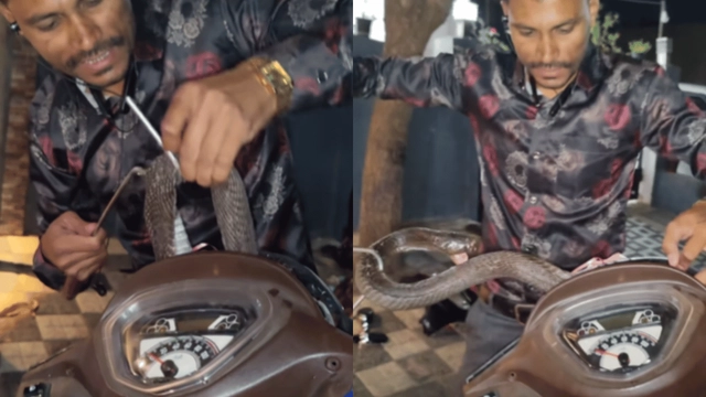 man-rescues-cobra-stuck-inside-scooter-viral-video-leaves-commuters-petrified